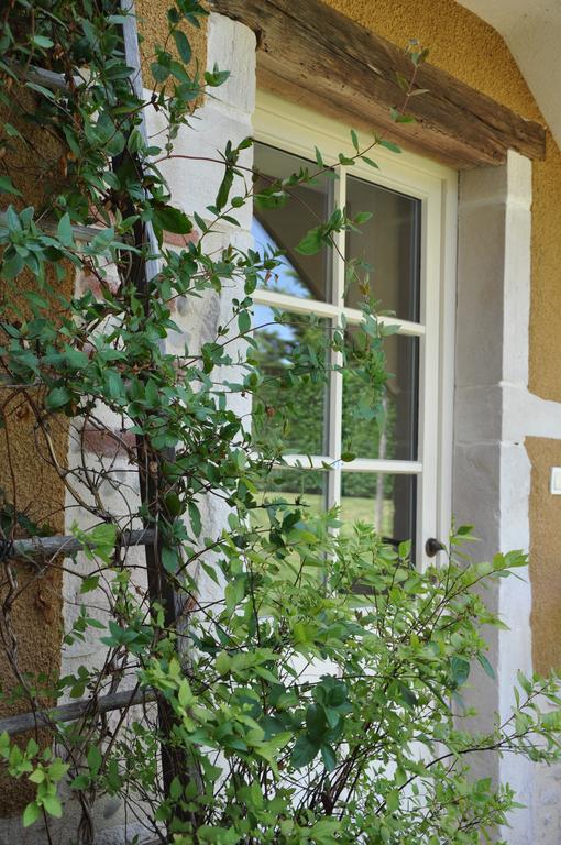 B&B La Cerisaie Francheleins Quarto foto